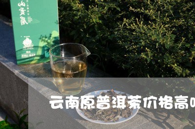 云南原普洱茶价格高吗多少钱/2023082871625