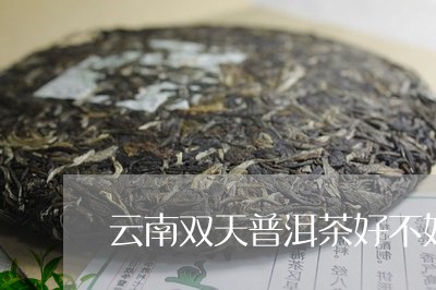 云南双天普洱茶好不好/2023093070613