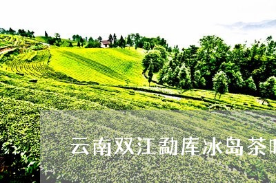 云南双江勐库冰岛茶叶精制厂/2023052624958