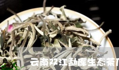 云南双江勐库生态茶厂/2023061083948