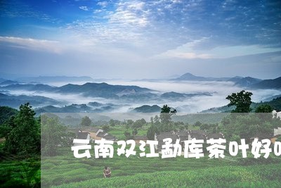 云南双江勐库茶叶好吗/2023092210724