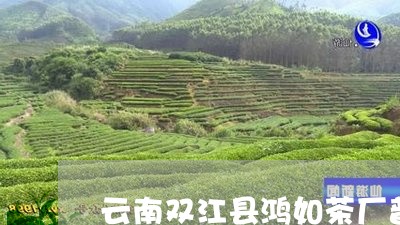 云南双江县鸿如茶厂普洱茶怎么样/2023082875159