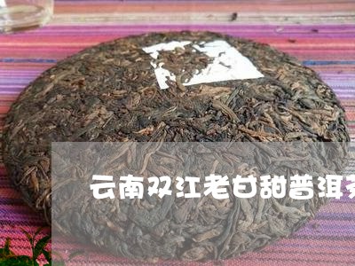 云南双江老甘甜普洱茶/2023100676369