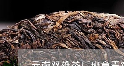 云南双雄茶厂班章青饼/2023061134160