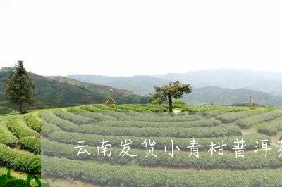 云南发货小青柑普洱茶/2023112439681