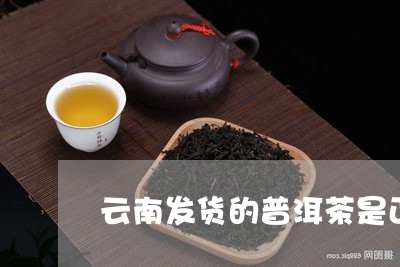 云南发货的普洱茶是正品吗/2023112487960