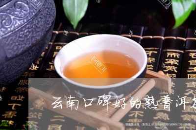 云南口碑好的熟普洱茶/2023092702601