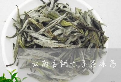 云南古树七子茶冰岛/2023042739603