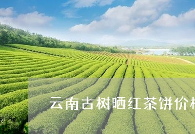 云南古树晒红茶饼价格/2023071660613