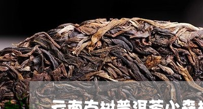 云南古树普洱茶小森林图片/2023110567270