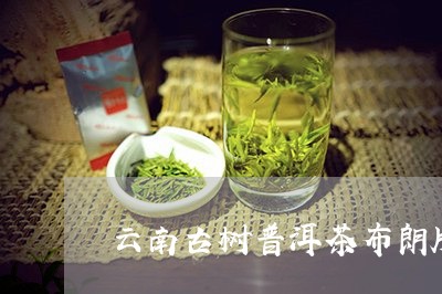 云南古树普洱茶布朗牌/2023062116272