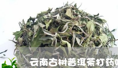 云南古树普洱茶打药吗/2023062296248