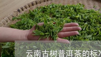 云南古树普洱茶的标准/2023092934926