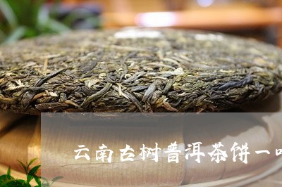 云南古树普洱茶饼一叶/2023061505359