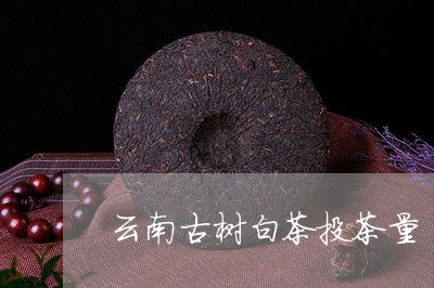 云南古树白茶投茶量/2023071419683