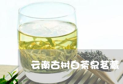 云南古树白茶泉茗藏/2023071473927