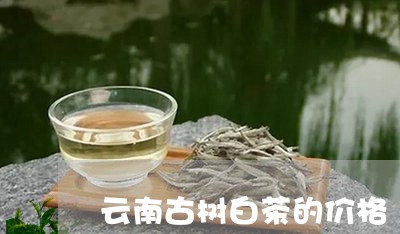 云南古树白茶的价格/2023071422794