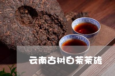 云南古树白茶茶砖/2023061432694