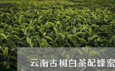 云南古树白茶配蜂蜜/2023081258592