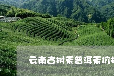 云南古树茶普洱茶价格/2023100743829