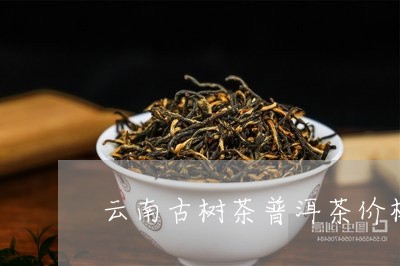 云南古树茶普洱茶价格表/2023102514948