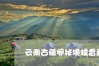 云南古藤阁秘境糯香普洱茶/2023082590602