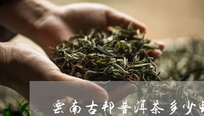 云南古邦普洱茶多少钱一斤/2023082529481