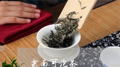 云南可泡茶/2023041745041