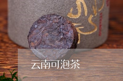 云南可泡茶/2023090228049