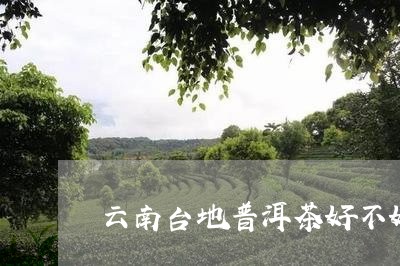 云南台地普洱茶好不好/2023072476484