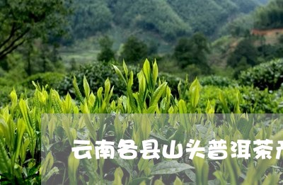 云南各县山头普洱茶产地/2023103157260