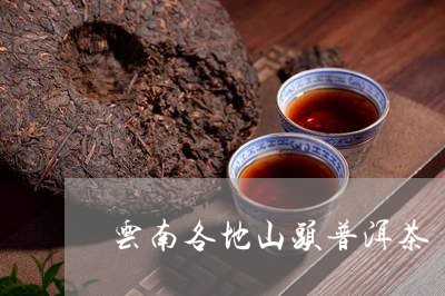 云南各地山头普洱茶/2023070888359