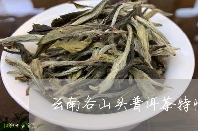 云南各山头普洱茶特性/2023062735937