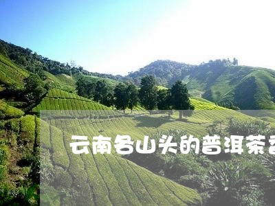 云南各山头的普洱茶香/2023062362593