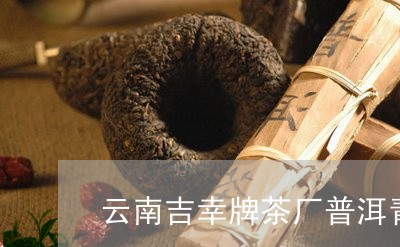 云南吉幸牌茶厂普洱青饼的存放多久/2023060329473