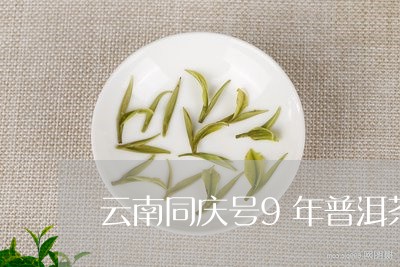 云南同庆号9年普洱茶/2023061873037