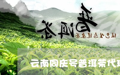 云南同庆号普洱茶代理/2023061461936