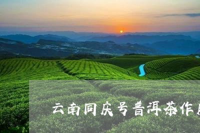 云南同庆号普洱茶作用/2023080272515