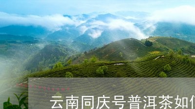 云南同庆号普洱茶如何/2023120609603