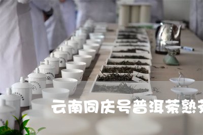 云南同庆号普洱茶熟茶/2023100840504