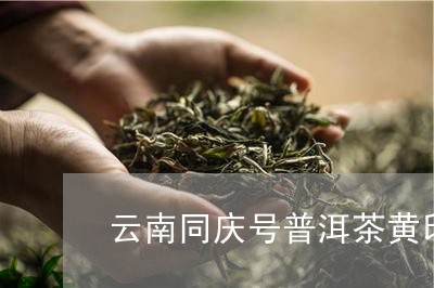 云南同庆号普洱茶黄印/2023062180708