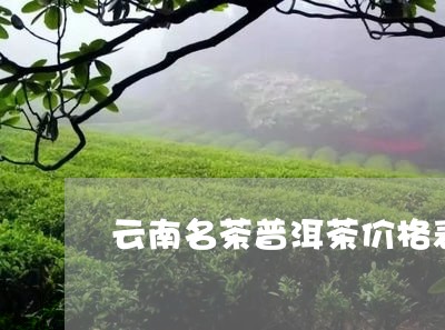 云南名茶普洱茶价格表图片/2023112827159