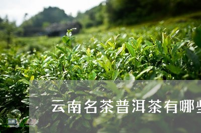 云南名茶普洱茶有哪些/2023062572759