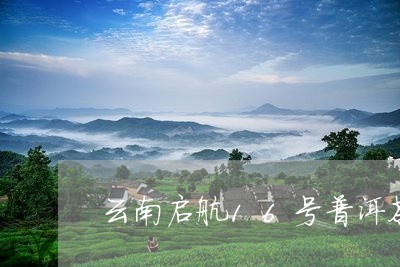 云南启航16号普洱茶/2023120626373