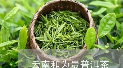 云南和为贵普洱茶/2023120422497