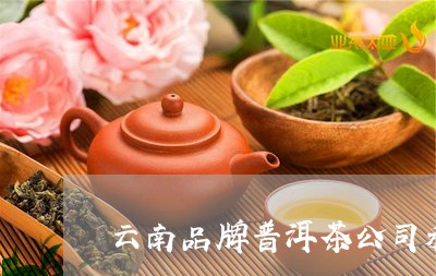 云南品牌普洱茶公司利润/2023120737581