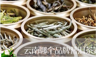 云南哪个品牌普洱茶好/2023062738270