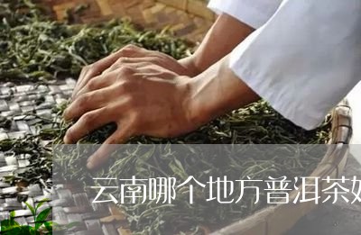 云南哪个地方普洱茶好/2023080273715