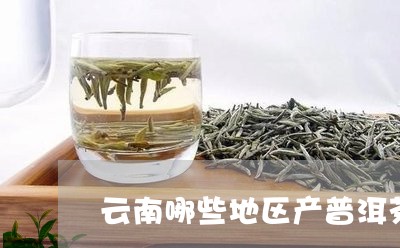 云南哪些地区产普洱茶/2023100672603