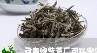 云南哪些茶厂可以溯源普洱茶/2023110419381